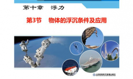 浮力视频,视频深度解析